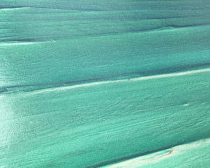 Abstract Sea painting by Carl West - Tropical close up